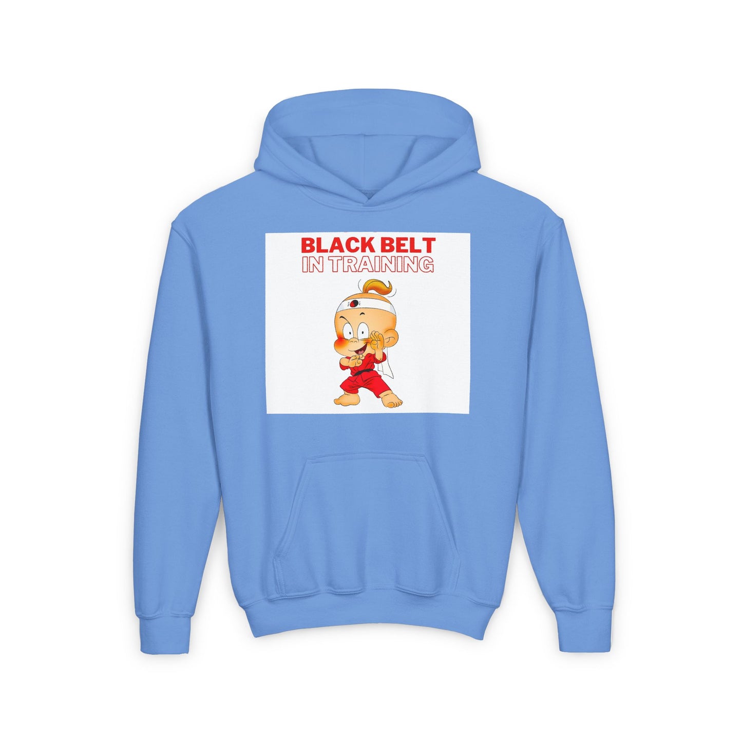 Hooded Sweatshirt with 'Black Belt in Training' Quote